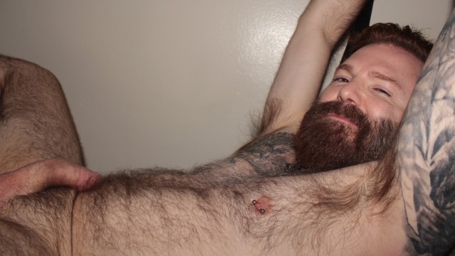 Ginger Daddy Bear