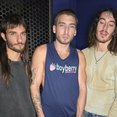 Boyberry Basement